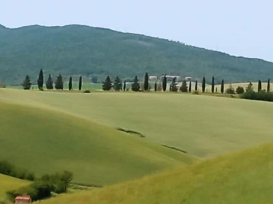 Lajatico Rentals - Terrazza Sul Tramonto Del Silenzio Luaran gambar