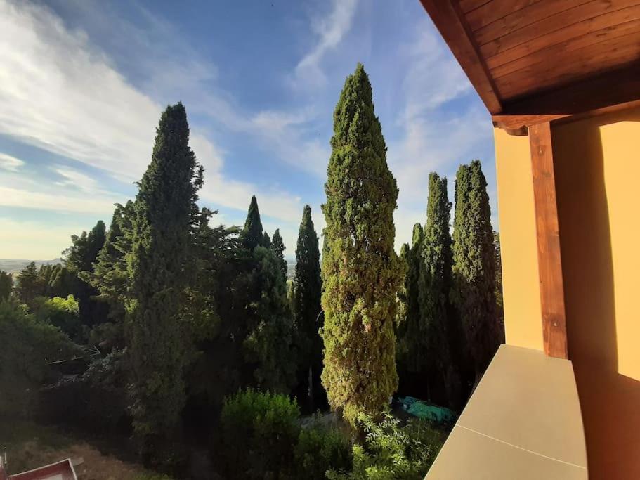 Lajatico Rentals - Terrazza Sul Tramonto Del Silenzio Luaran gambar